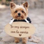 Cartel para Paje Personalizado A4 con Cinta de Color