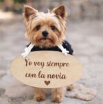 Cartel para Paje Personalizado A4 con Cinta de Color