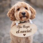 Cartel para Paje Personalizado A4 con Cinta de Color - Imagen 4